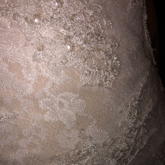 OLGE CASSINI Wedding Gown - Picture 6 of 8